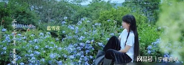 田园梦碎!农村小院真实成本揭秘